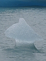 Patagonie 201